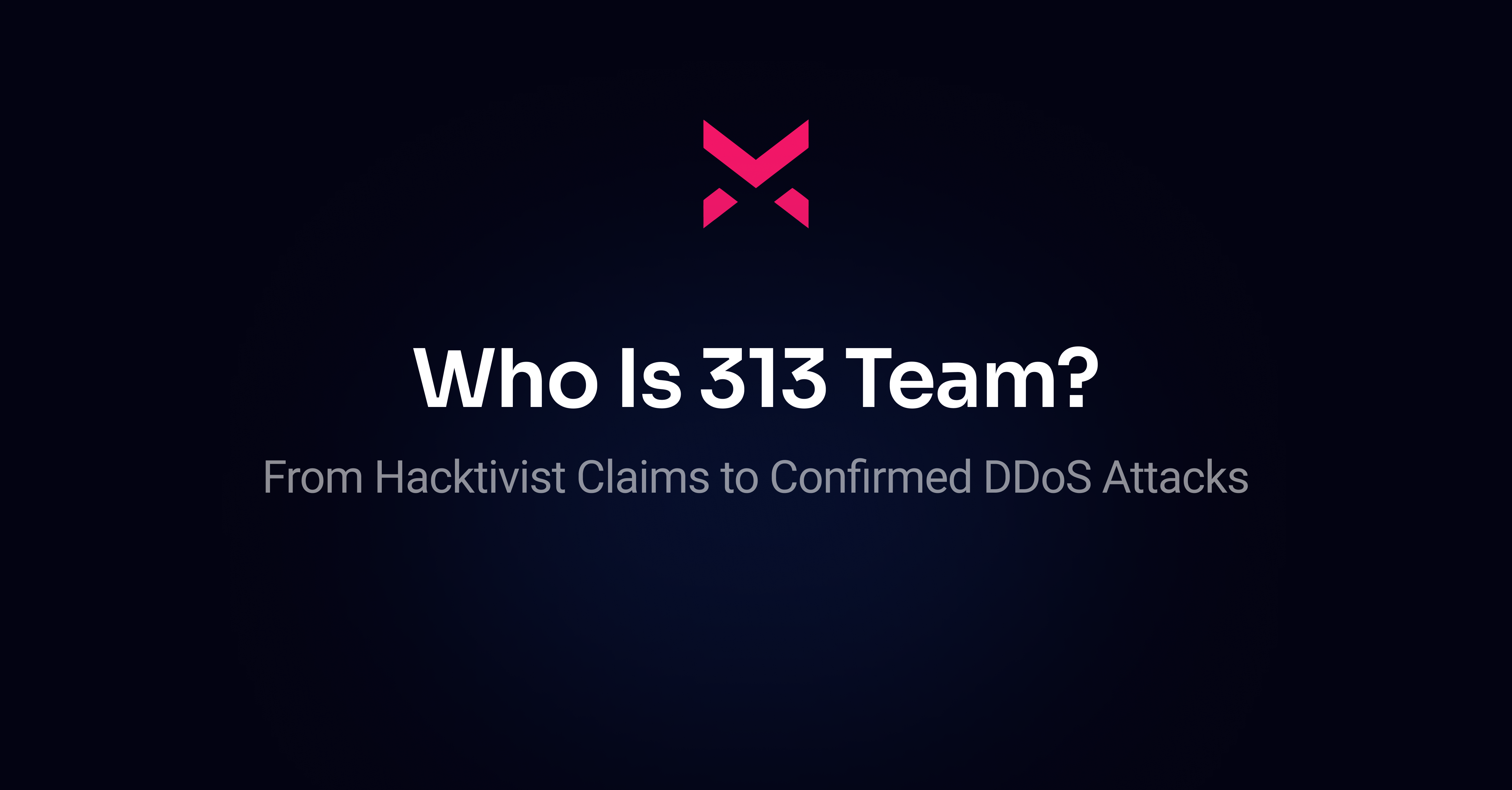 313 Team: From Hacktivist Claims to Confirmed DDoS Attacks
